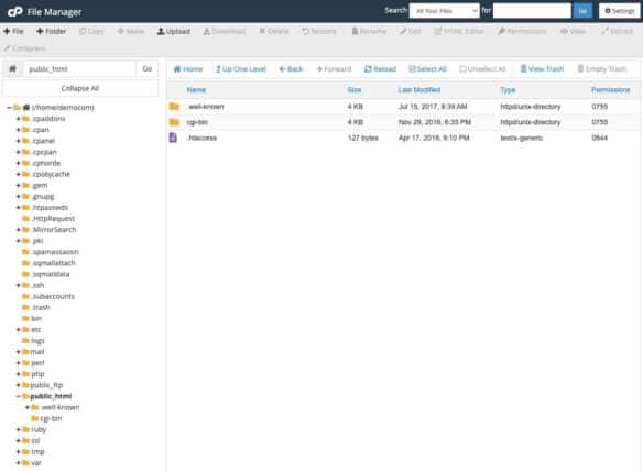 cPanel - file manager - manager plików